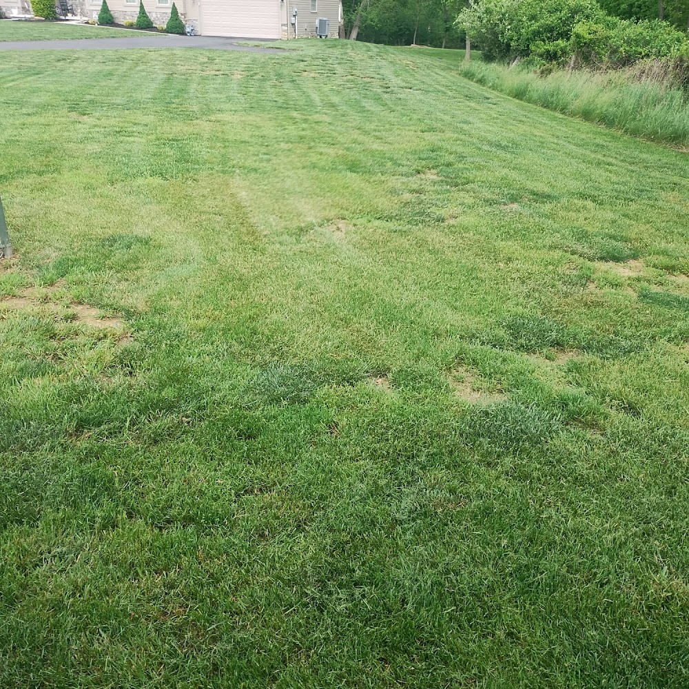 Grown Cuts Lawn-Care LLC