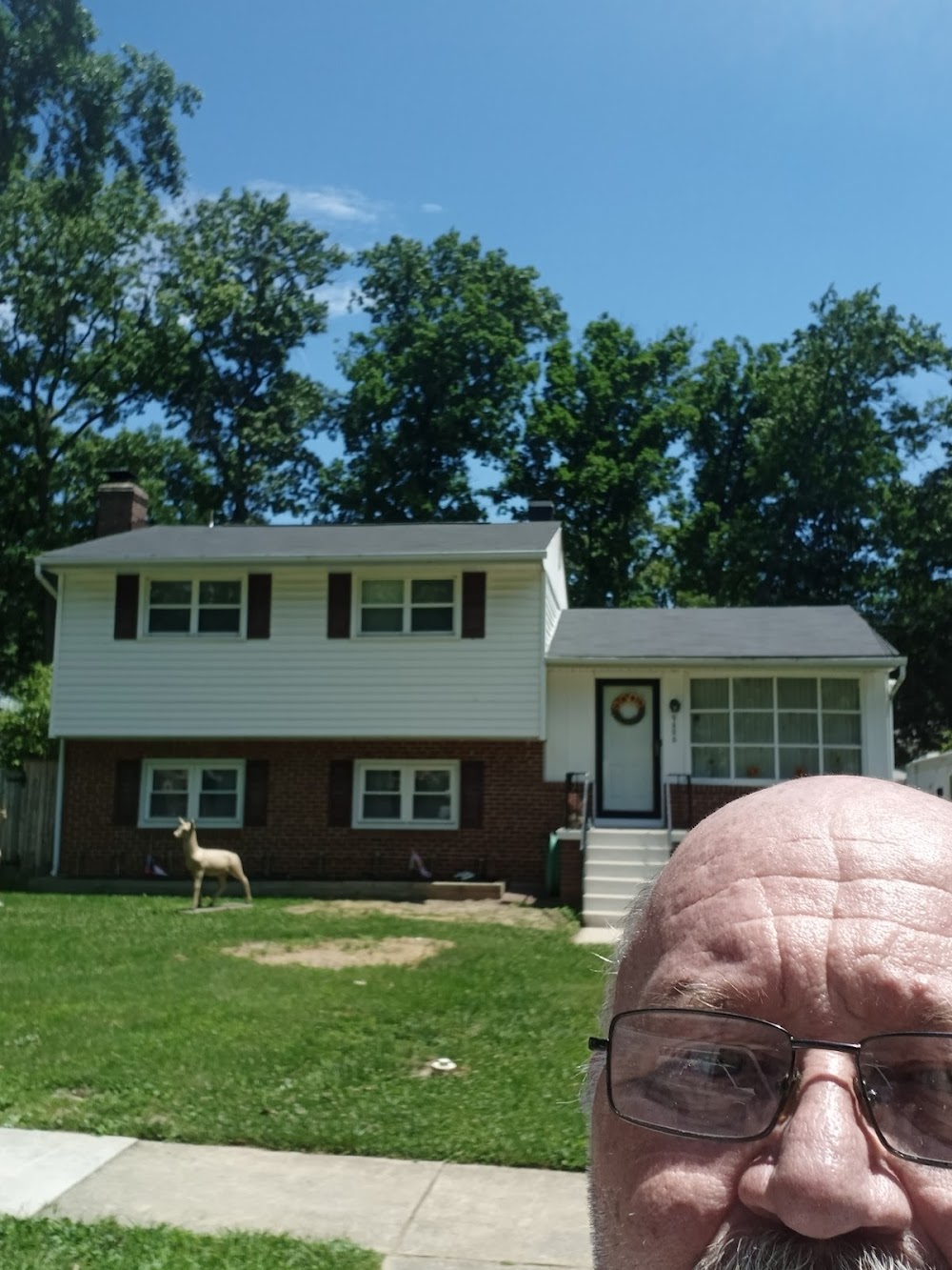 H.D. Landscaping Services Inc