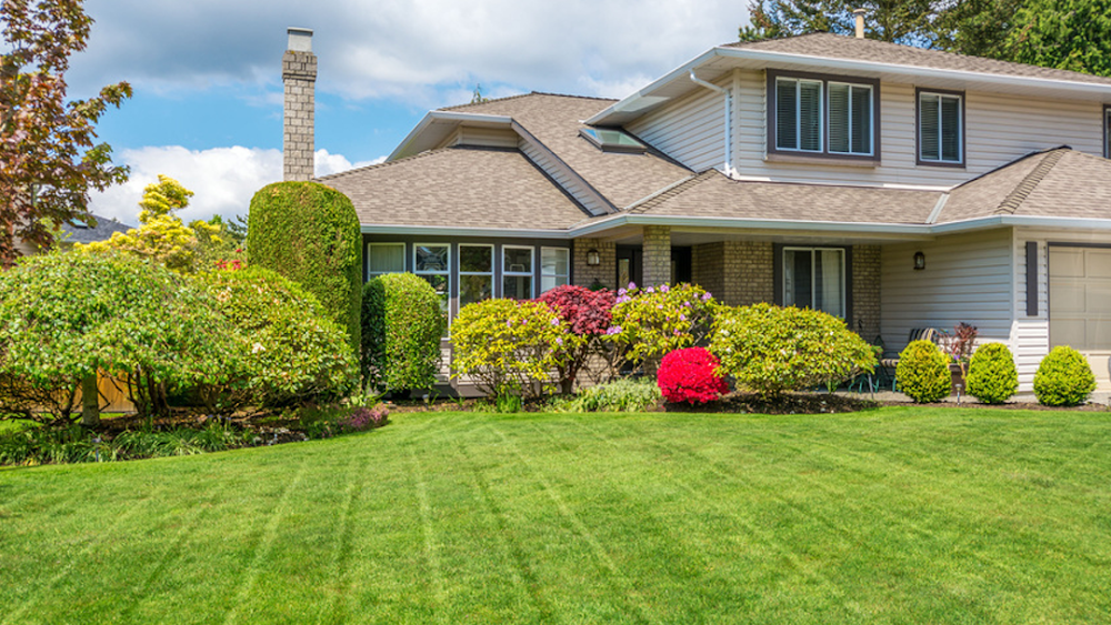 Harbor View Landscaping