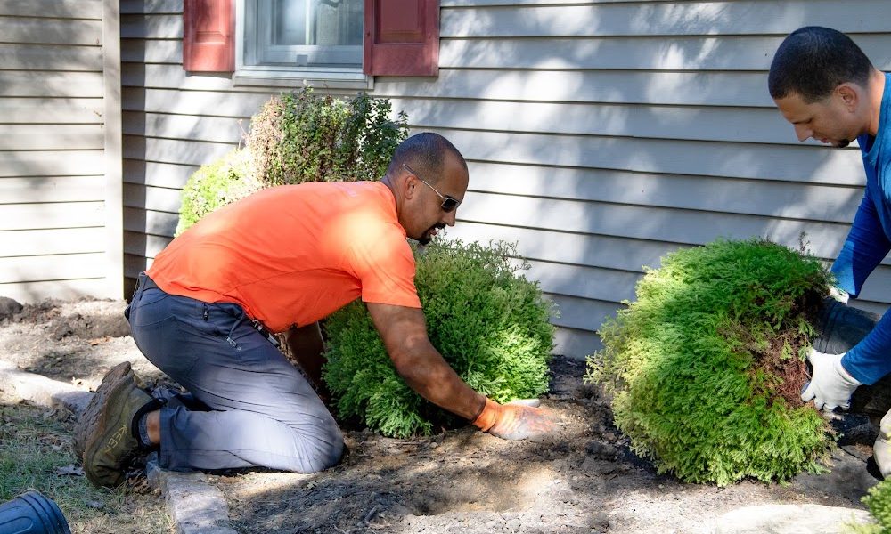 Heemer’s Lawn Care Services