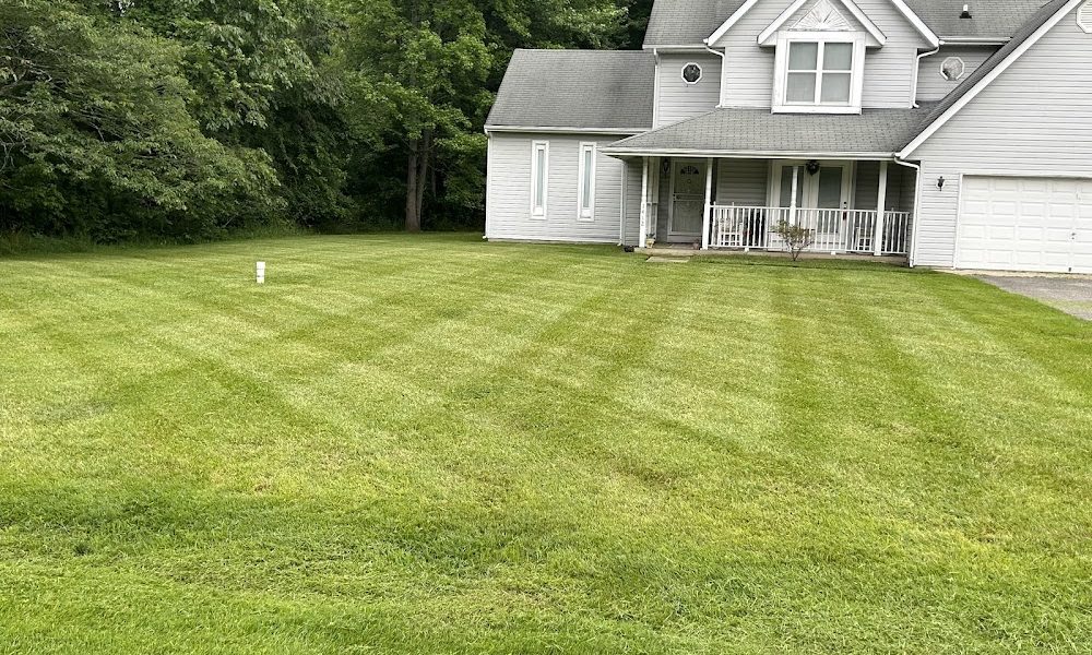 Henson lawn care