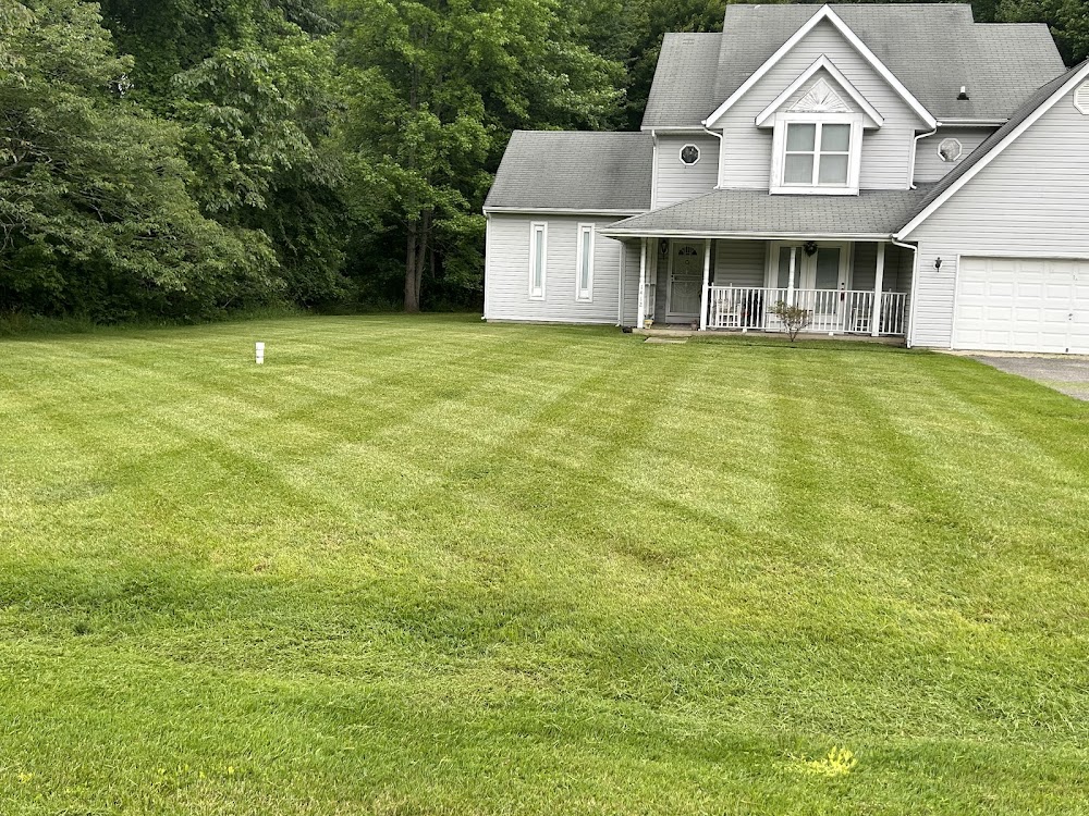Henson lawn care