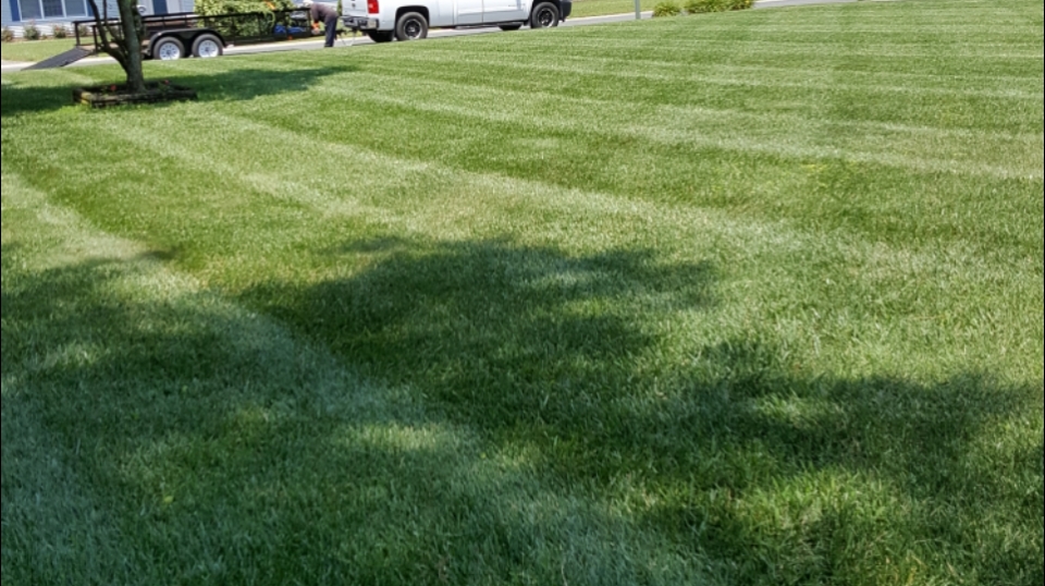 Hernandez Lawn Care