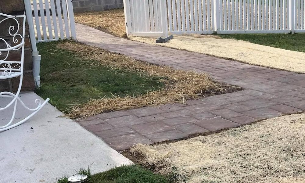 Hickory Lawn Care