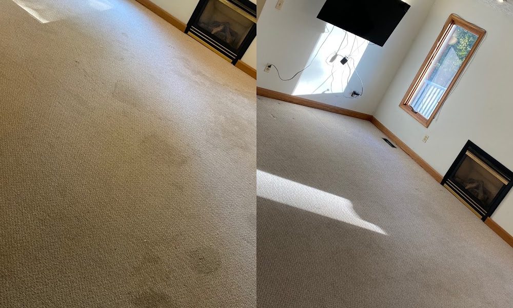 Higher Standard Carpet Cleaning