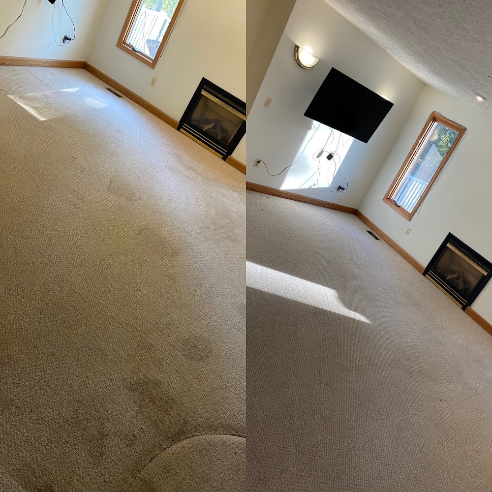 Higher Standard Carpet Cleaning