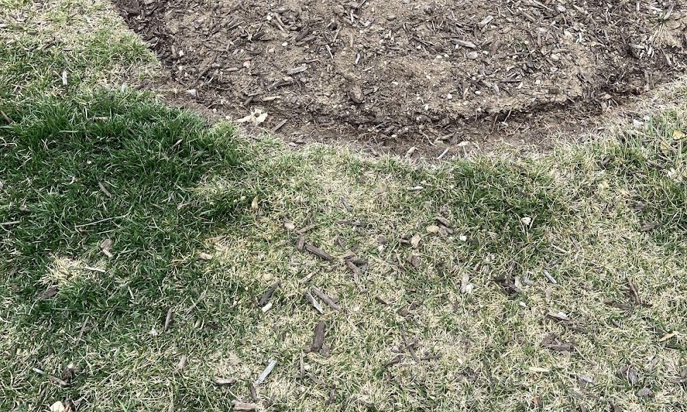 HillSide Lawn Service