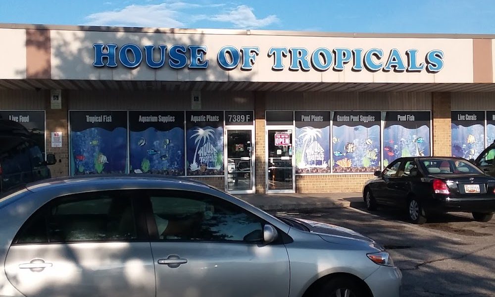 House Of Tropicals