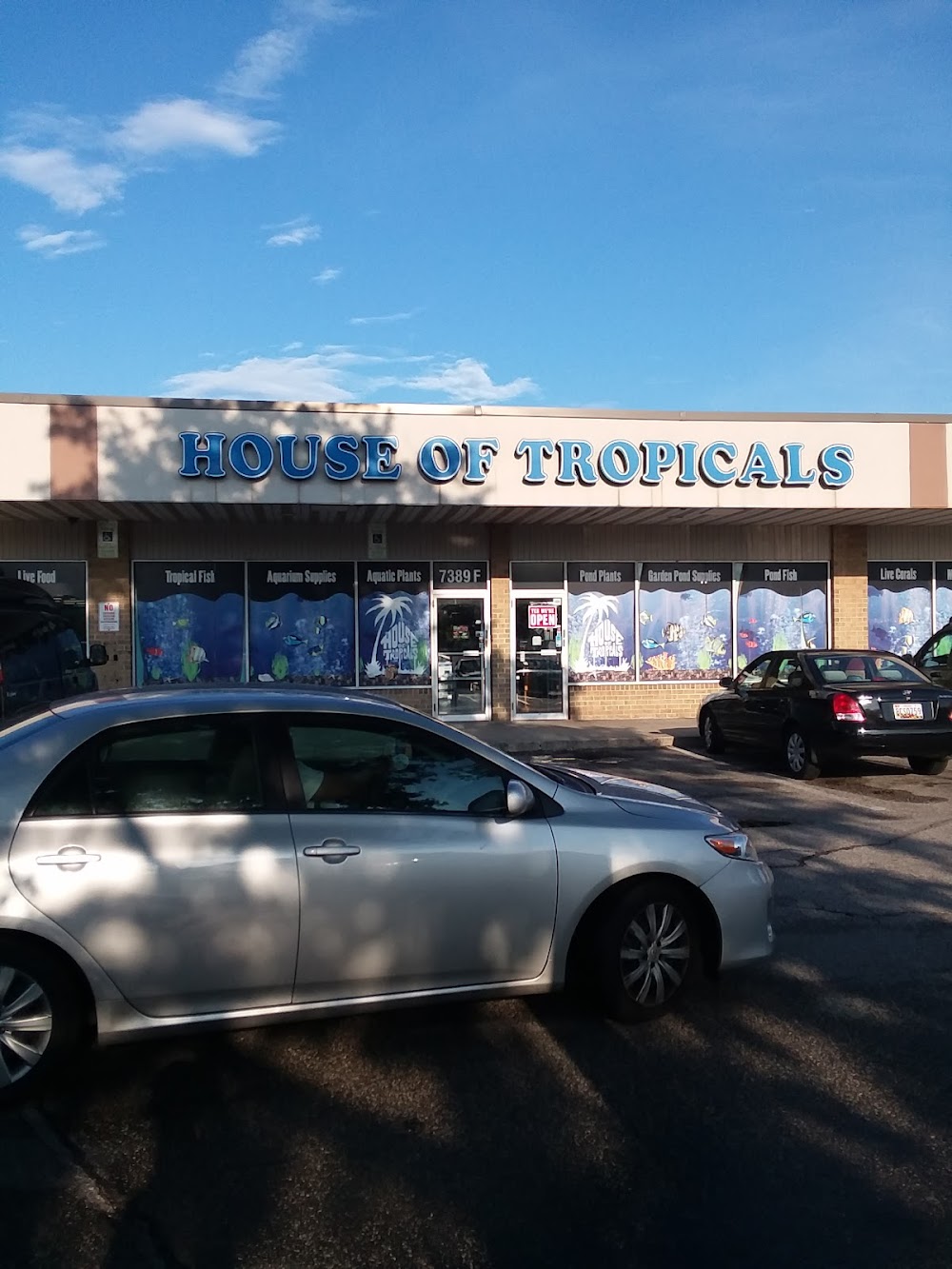 House Of Tropicals