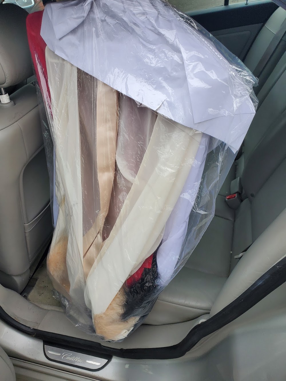 Ivory Laundry & Dry Cleaning