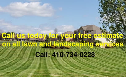 J D Lawn Services Inc