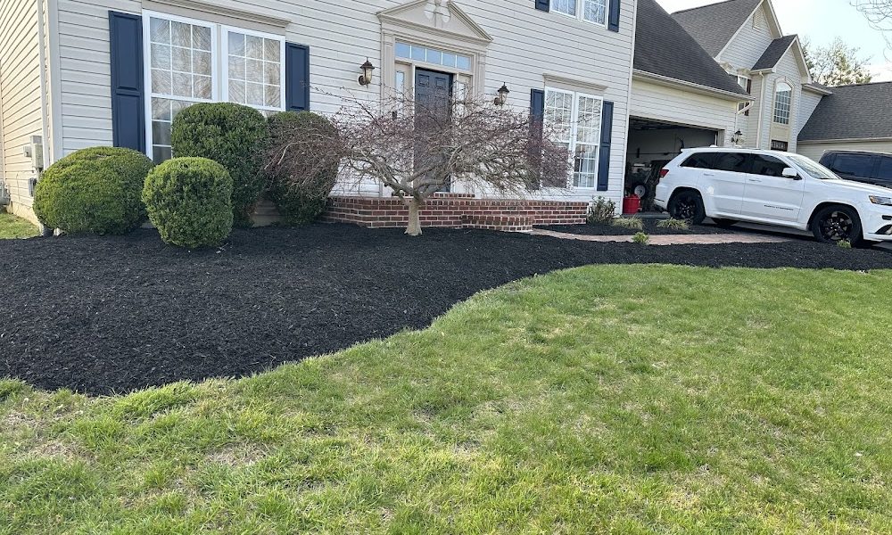 J.N.S Landscaping LLC