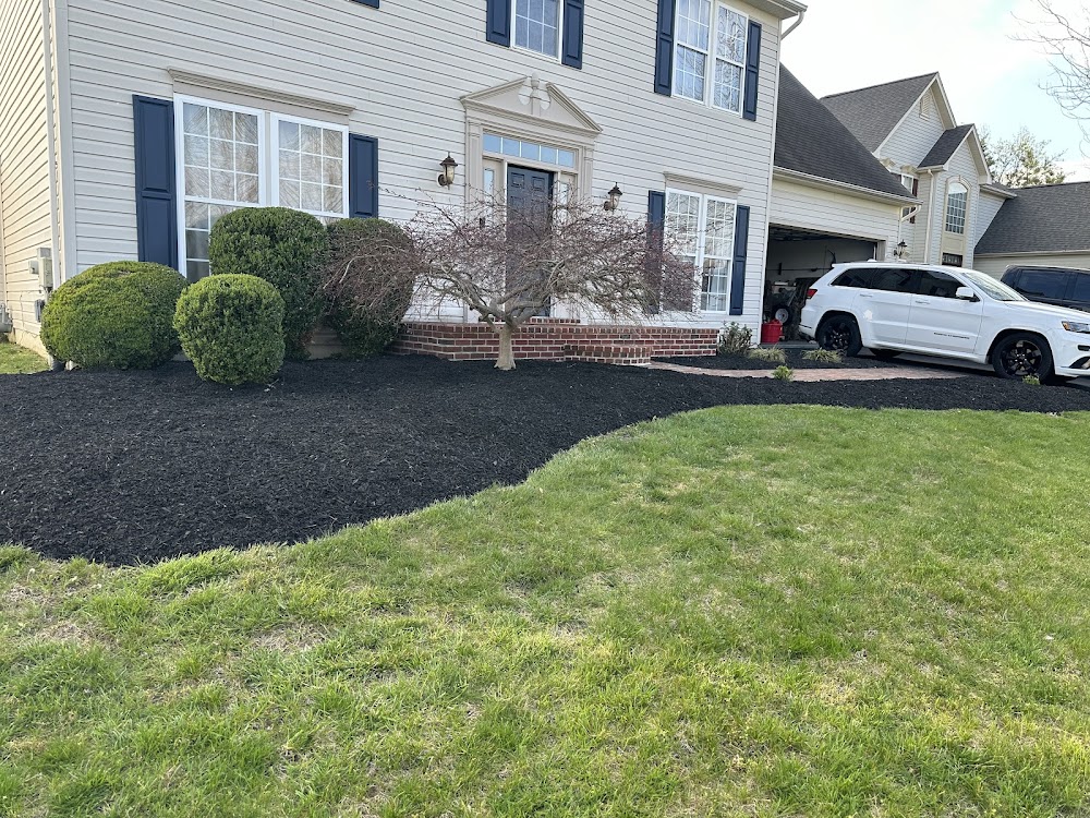 J.N.S Landscaping LLC