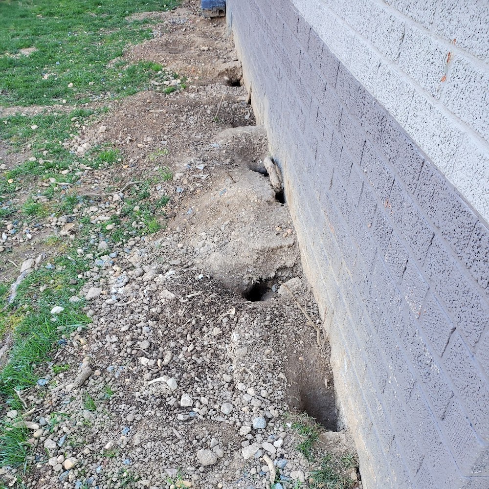 Jankowski Pest Control llc