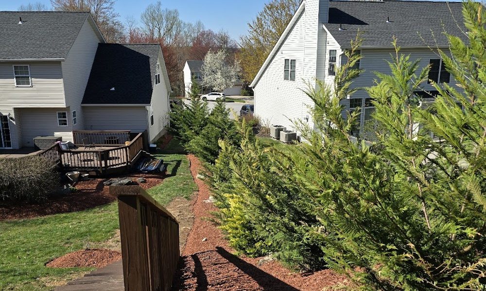 Jose and sons landscaping LLC
