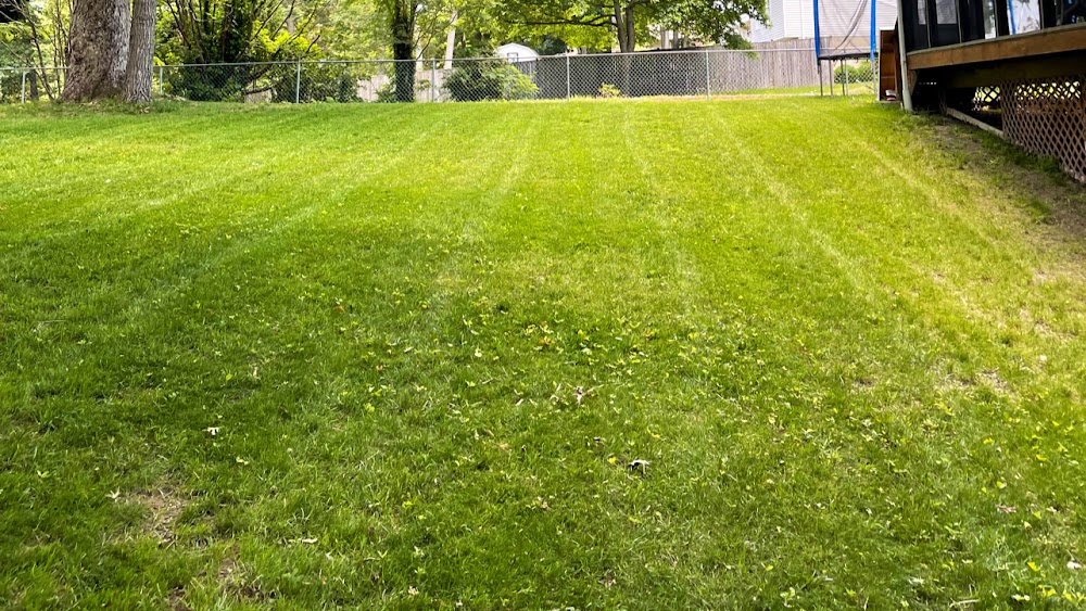 JS Lawn Care Services