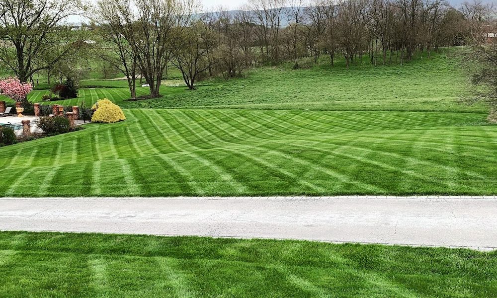 Lanco Turf Services Inc