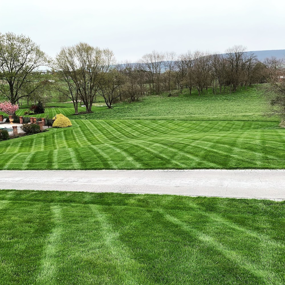 Lanco Turf Services Inc
