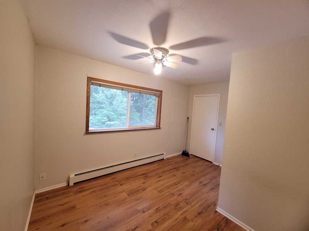 Langley Painting Services