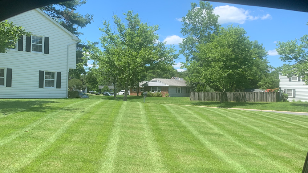 Larns professional lawn service llc