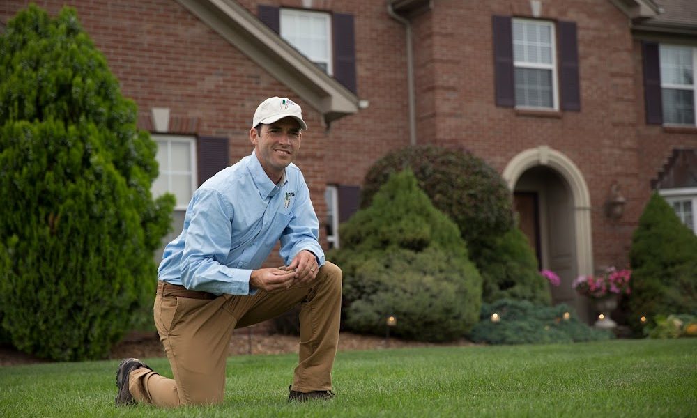 Lawn Doctor of Arlington