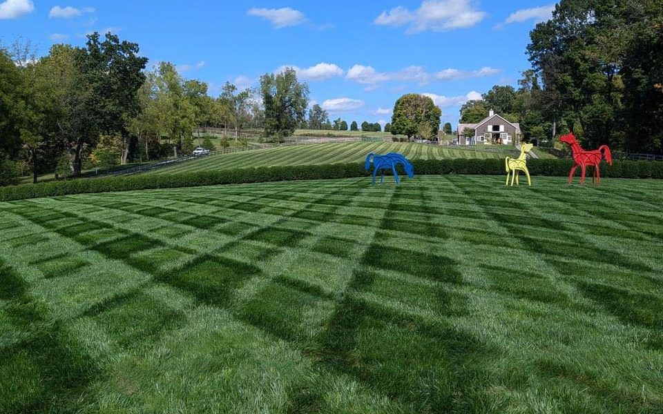 Lawn Doctor of Carroll County – Reisterstown