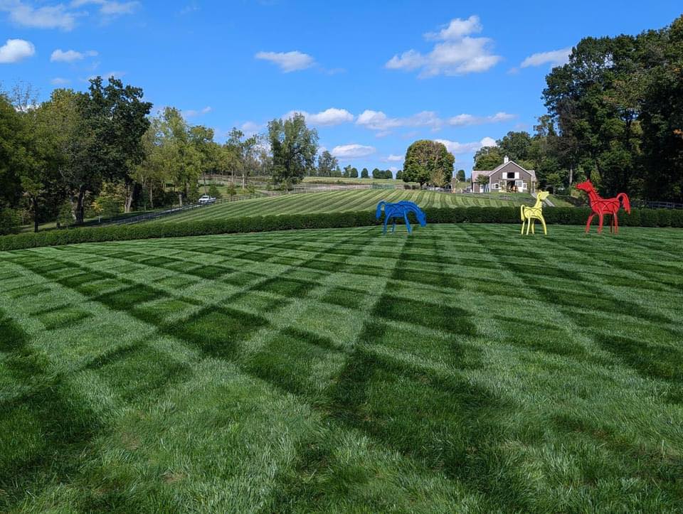 Lawn Doctor of Carroll County – Reisterstown