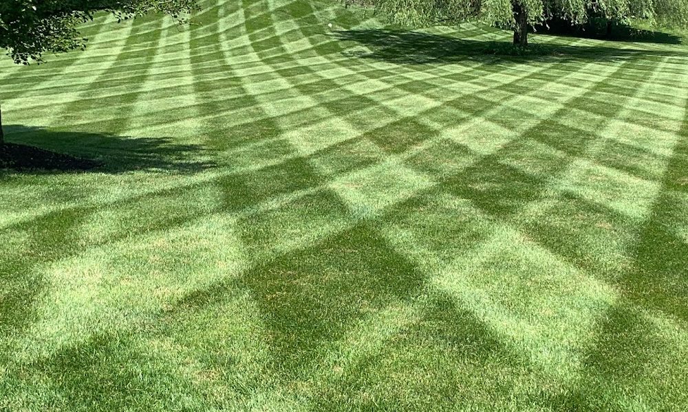 Lawn Life Turf Services