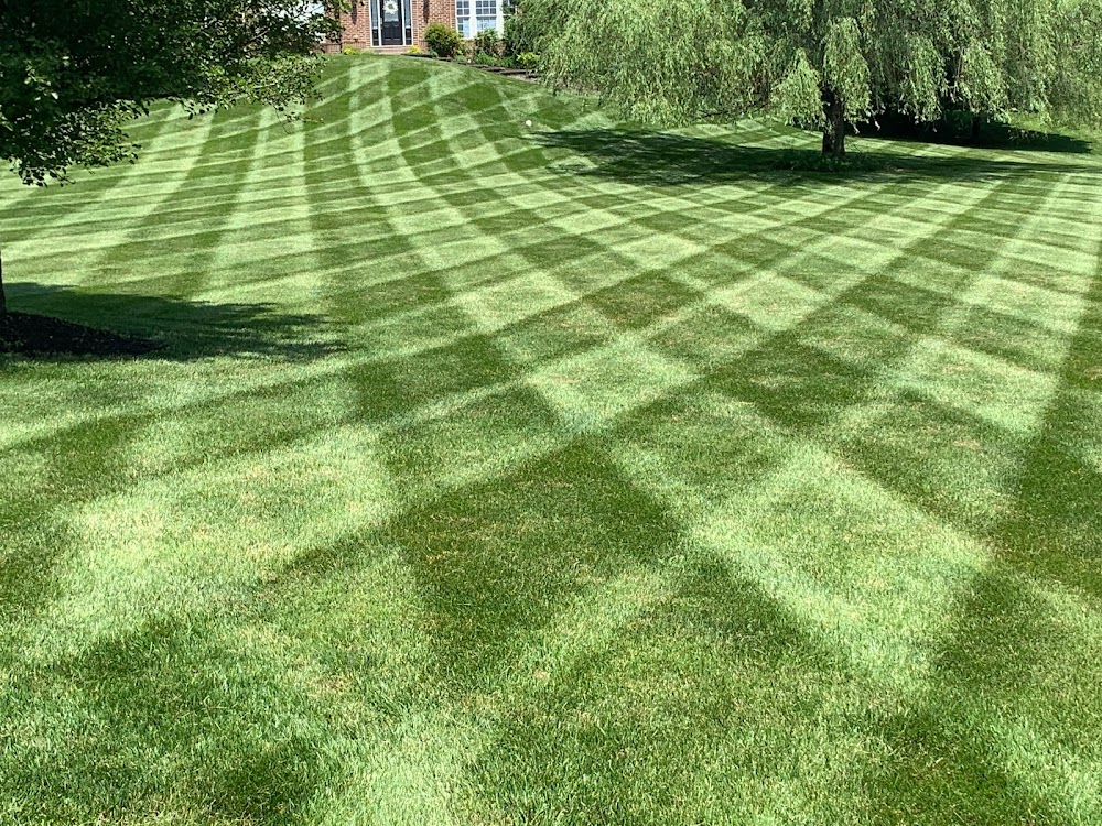 Lawn Life Turf Services