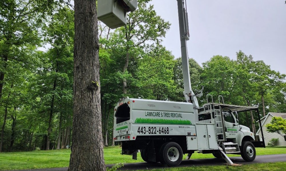 Lawncare & Trees Removal LLC