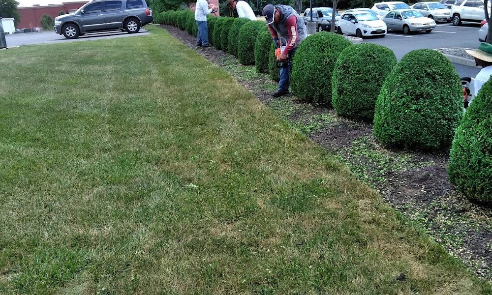 Lawnmasters, Inc.
