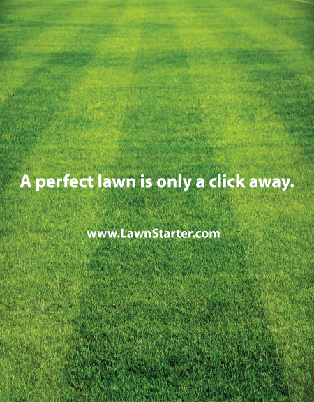 LawnStarter
