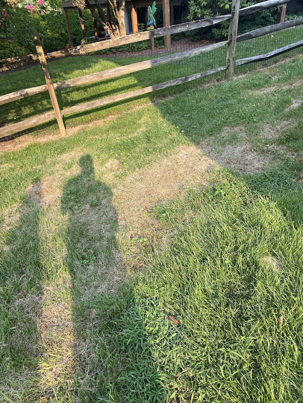 LawnStarter Lawn Care Service