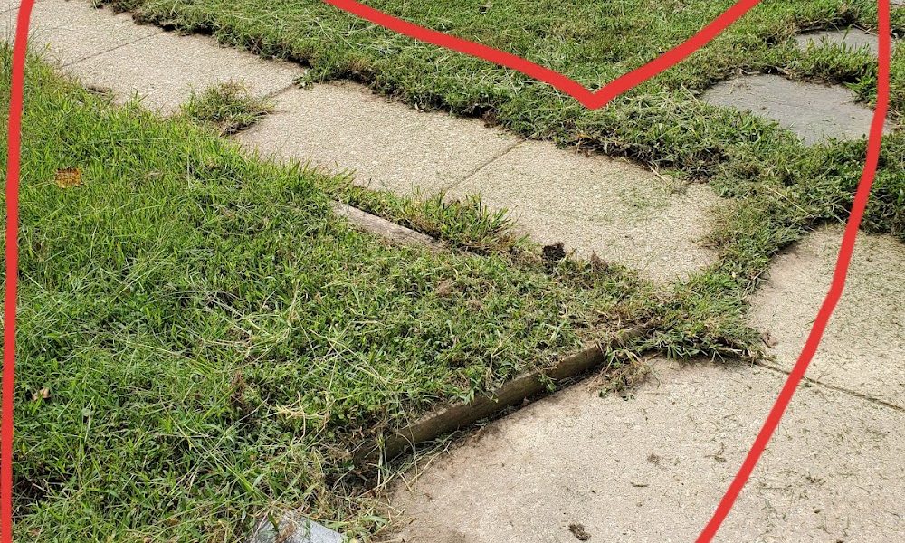 LawnStarter Lawn Care Service