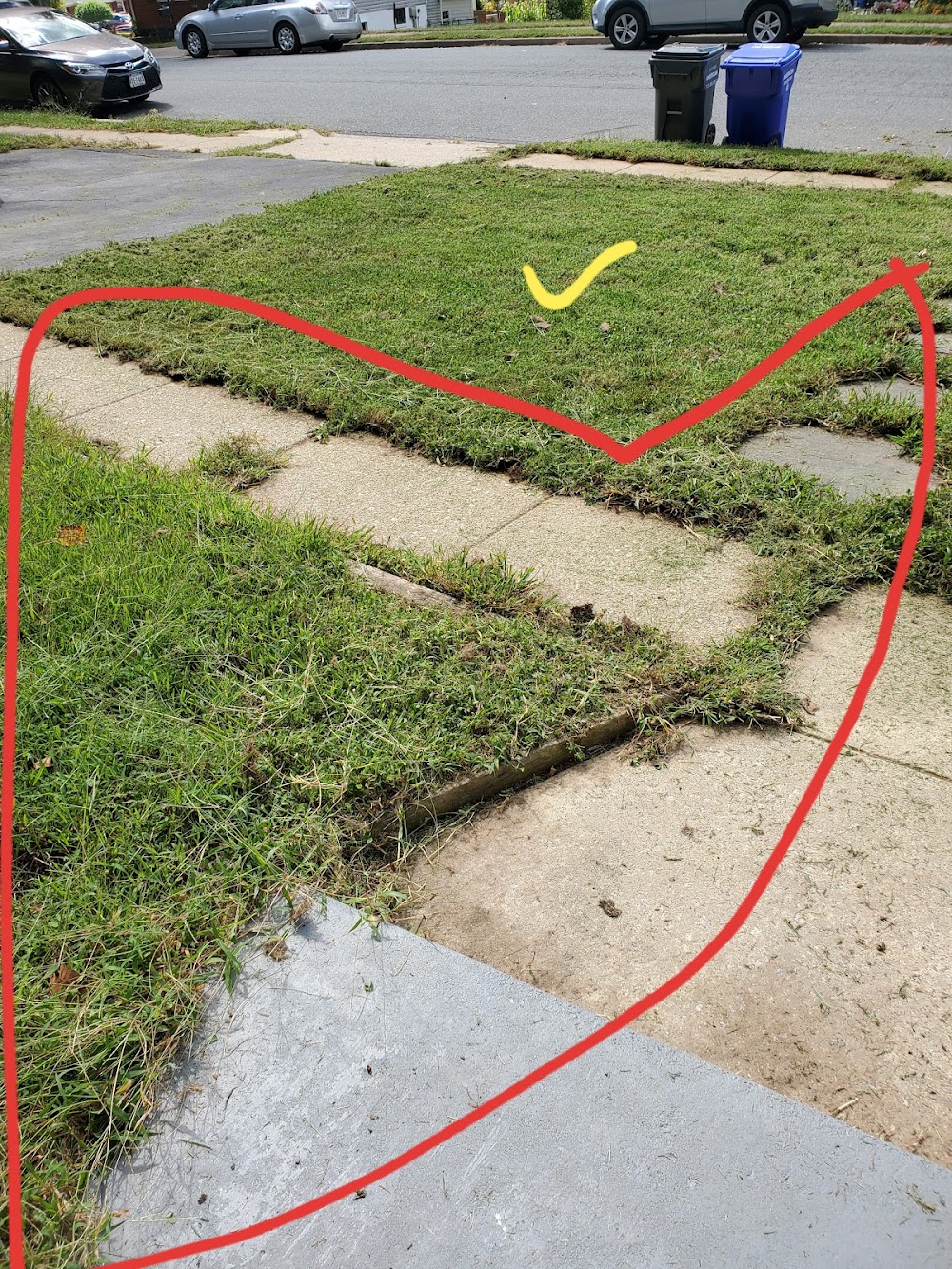 LawnStarter Lawn Care Service