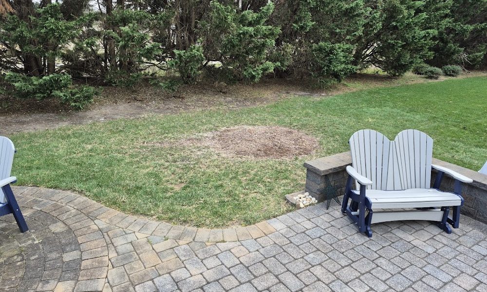 Lawson’s Tree Service & Landscaping LLC