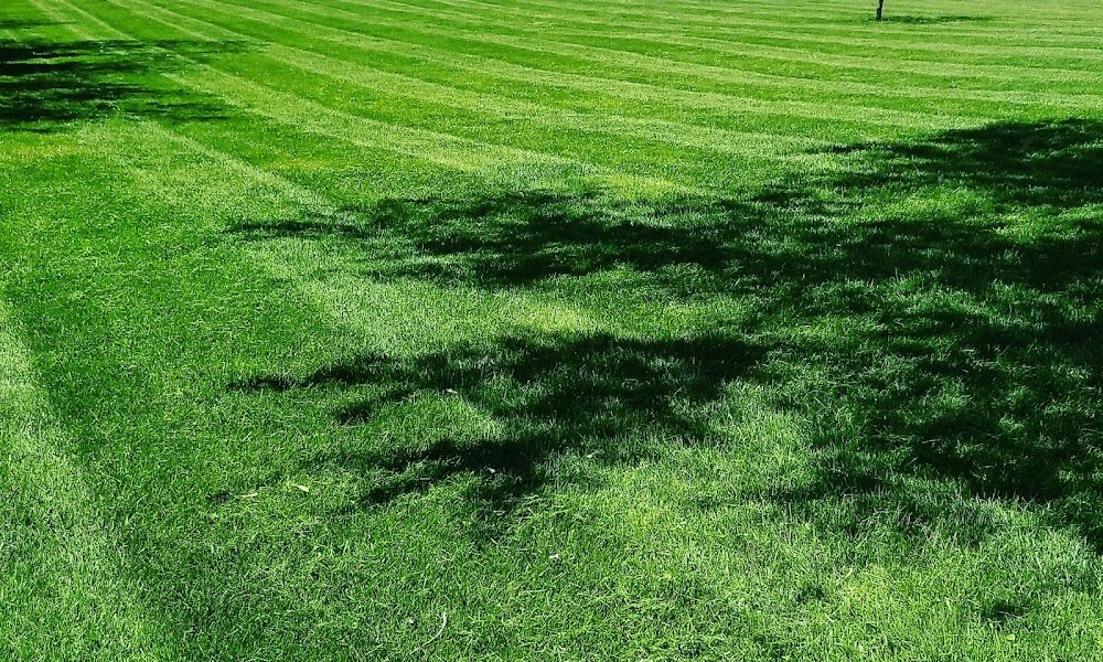 Leggs Lawn and Landscaping