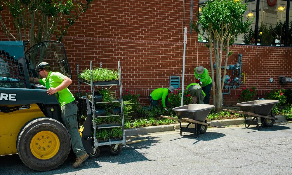 Level Green Landscaping