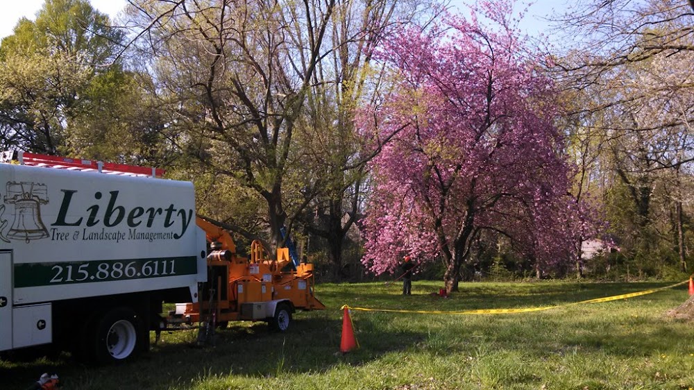 Liberty Tree & Landscape Management