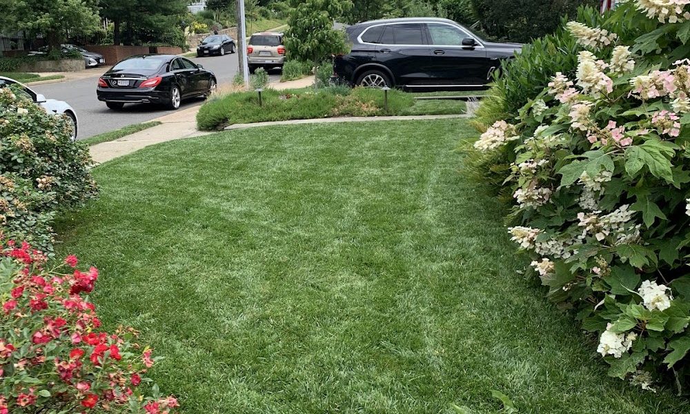 Little Foot Lawn Care