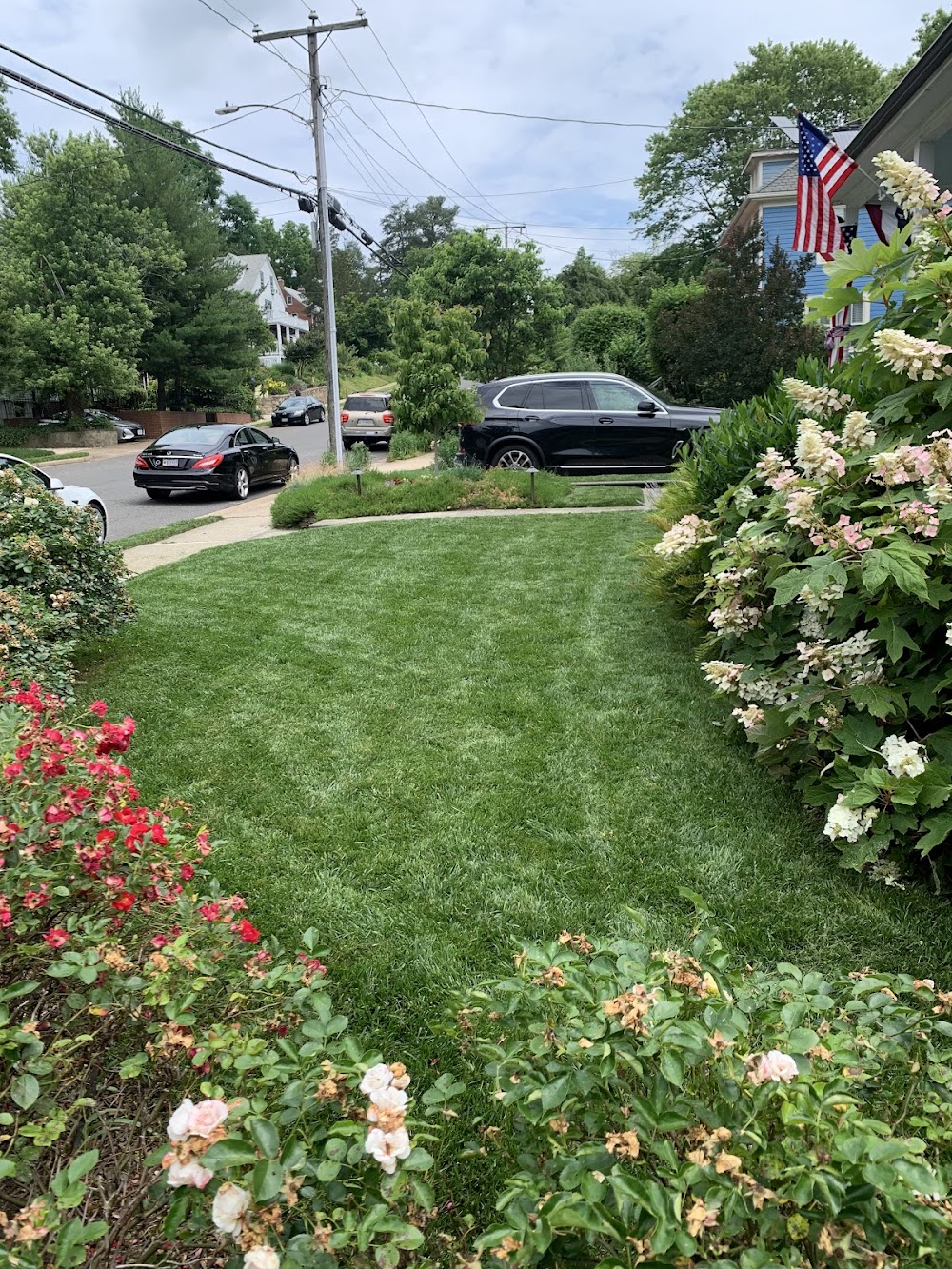 Little Foot Lawn Care
