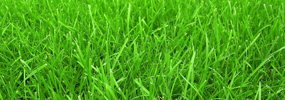 Malk Lawn Care LLC
