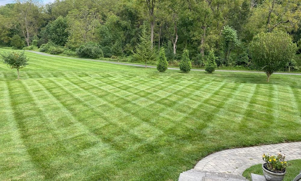 Marrs Brothers Landscaping & Lawn Care