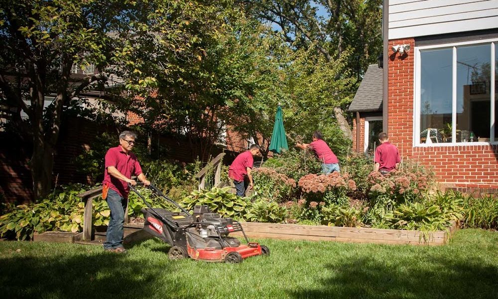 Martin Lawn and Landscaping