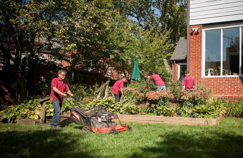 Martin Lawn and Landscaping