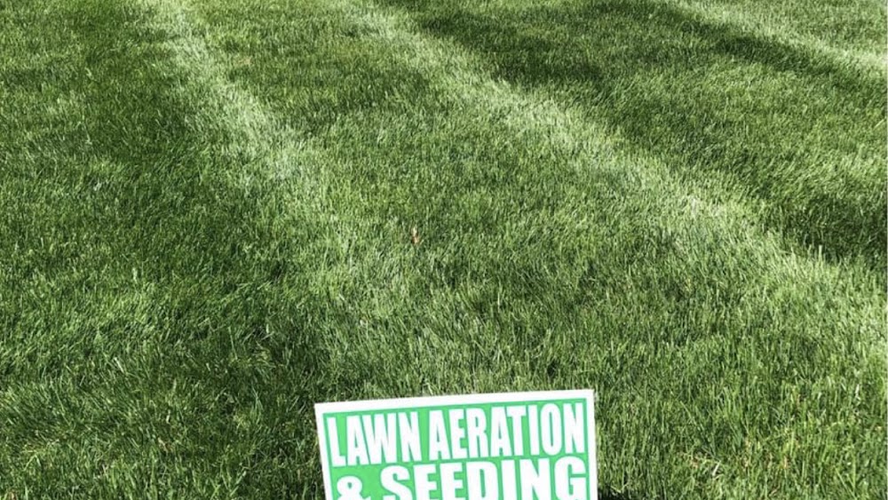 Maryland Lawn Service