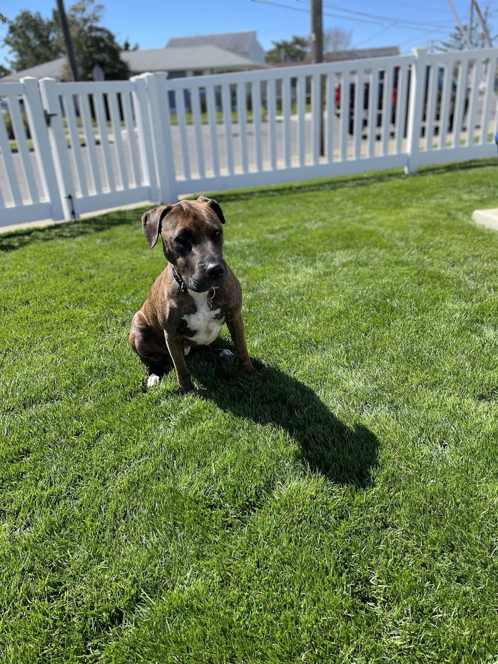 Messina Lawn Care – Fertilization & Weed Control