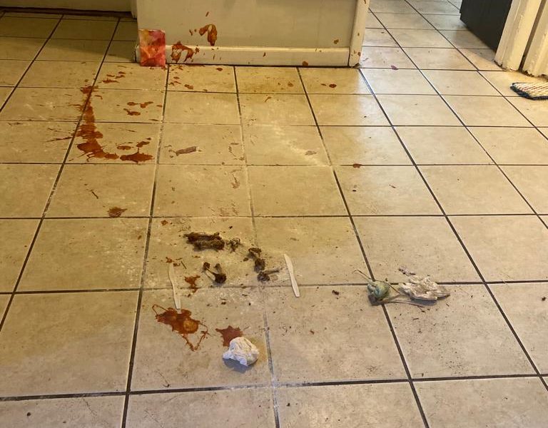 MJK Diaz Cleaning Services LLC