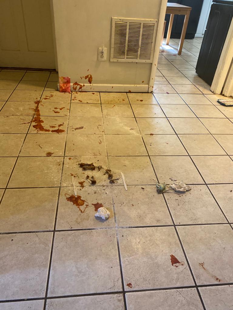 MJK Diaz Cleaning Services LLC