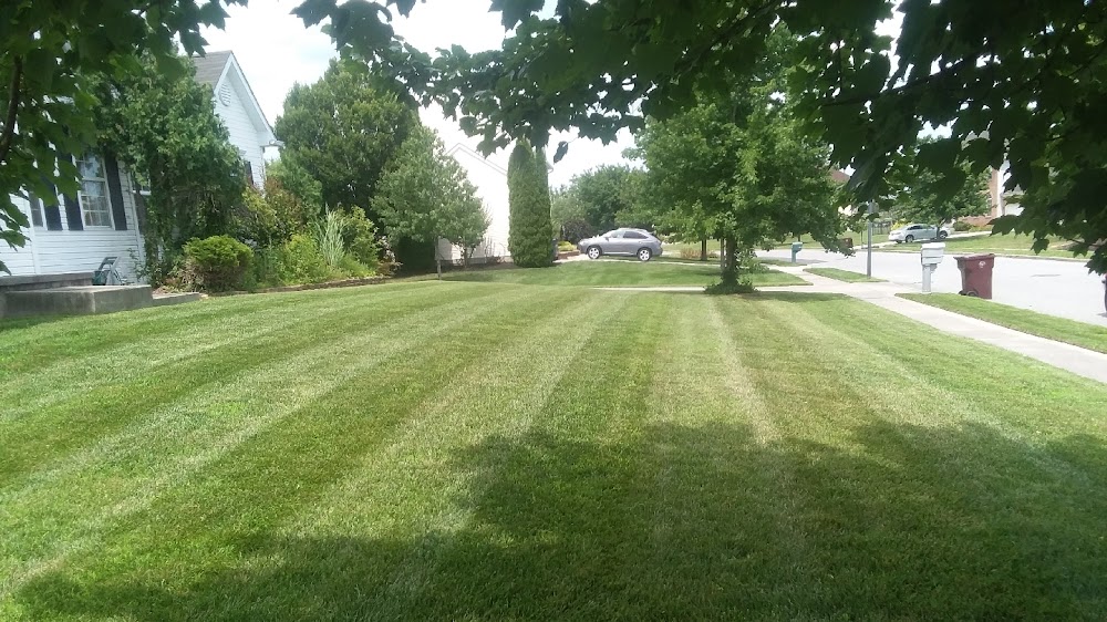 Mom’s Lawn Care